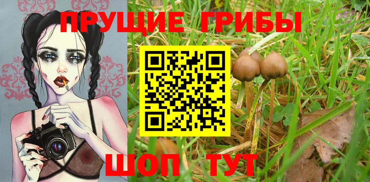 Галлюциногенные грибы Psilocybe  Псилоцибиновые грибы мухоморы  где можно купить   Сертолово  Вход с VPN 